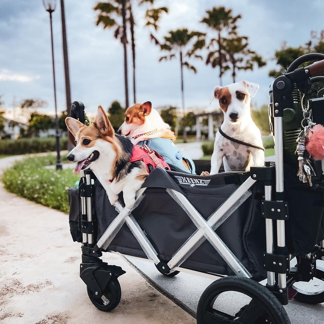 Keenz 7s 1.0 Stroller Wagon