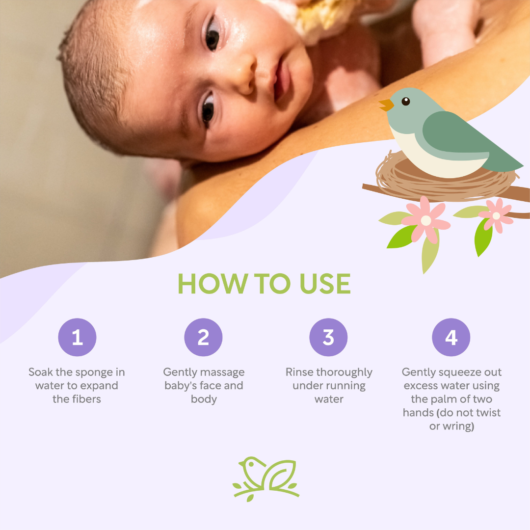 Nature To Nurture Konjac Baby Bath Sponge