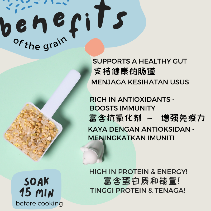 Little Baby Grains Step 3: Let's Nourish (15+months)