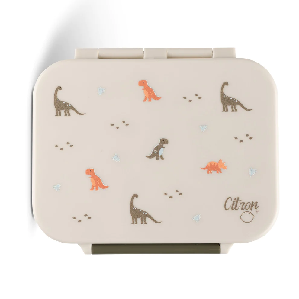 Citron Absolut Tritan Snack Box with 3 Compartments