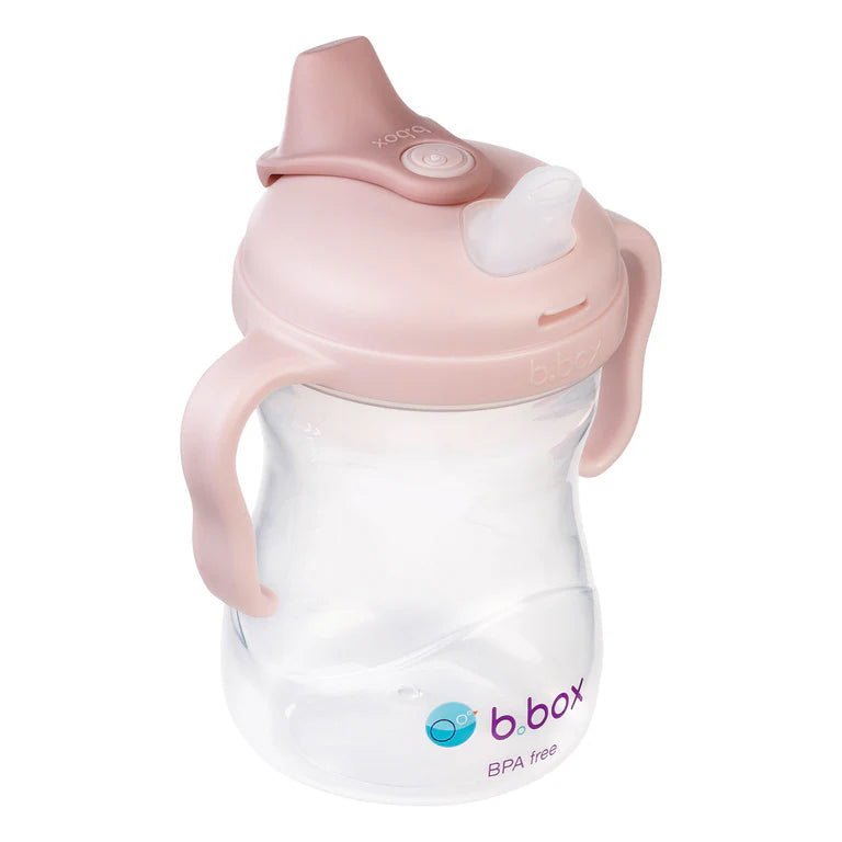 B.Box Spout Cup