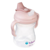 B.Box Spout Cup