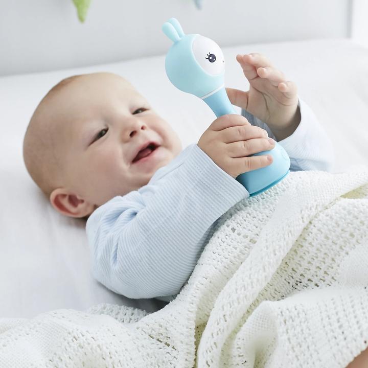 Alilo Smarty Shake and Tell Rattle