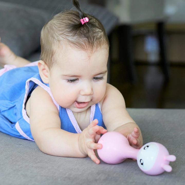 Alilo Smarty Shake and Tell Rattle