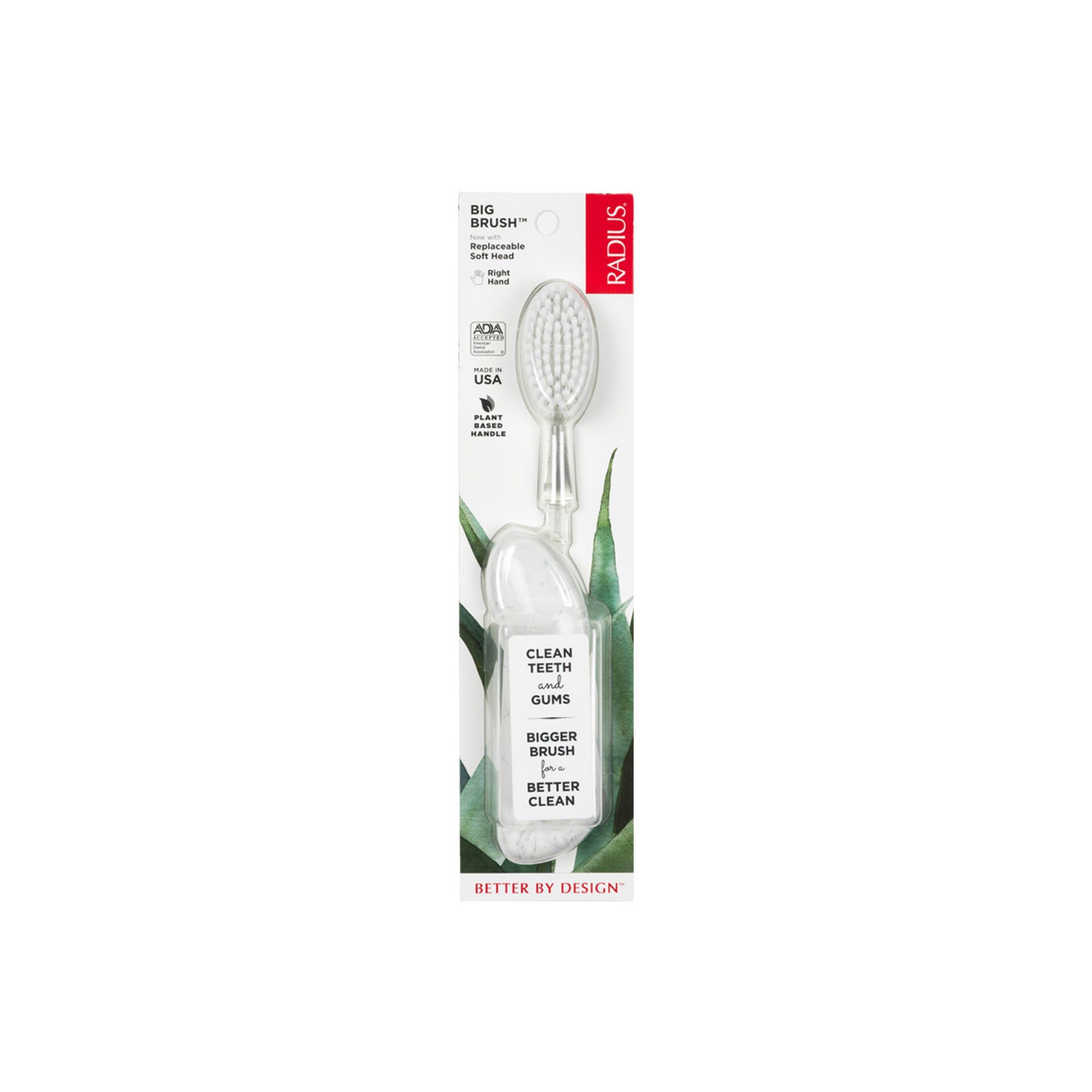 Radius Big Brush with Replaceable Head (Right-Handed) - Toothbrush for Adults