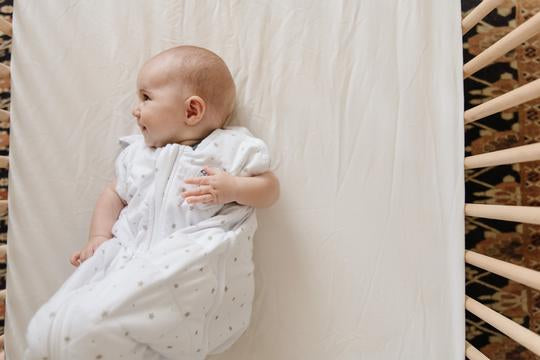Dreamland Baby Weighted Sleep Swaddle & Sack (0-6 months)