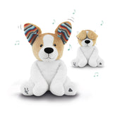 Zazu Peek-A-Boo Soft Toy - Danny the Dog