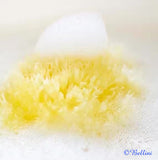 Bellini Natural Honeycomb Bath Sponge