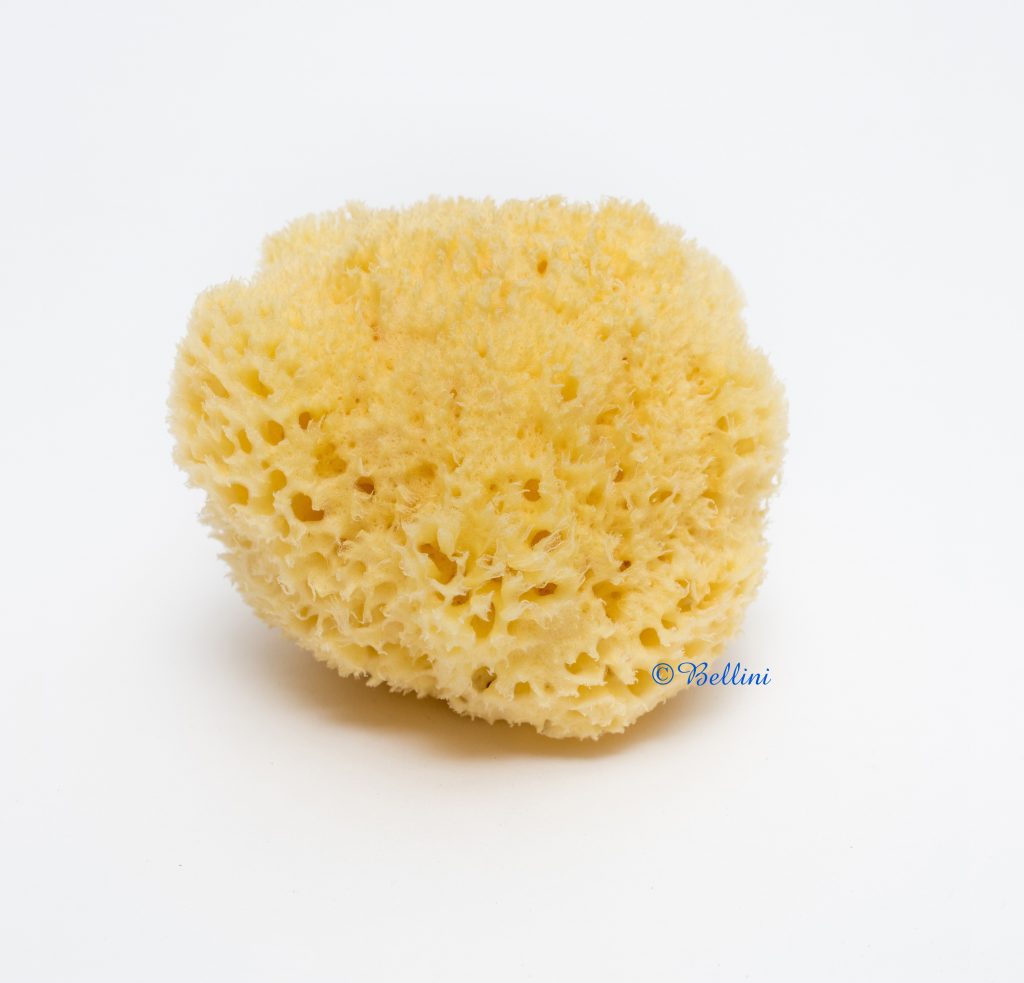 Bellini Natural Honeycomb Bath Sponge