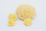 Bellini Natural Honeycomb Bath Sponge