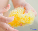 Bellini Natural Honeycomb Bath Sponge