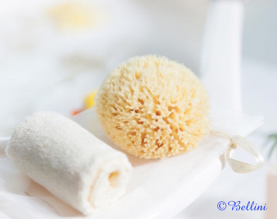 Bellini Natural Honeycomb Bath Sponge