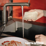 Zippies Earth Sponge Duo Gentle Scrub - Pack of 4