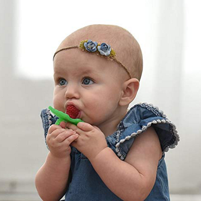 RaZBerry Teether