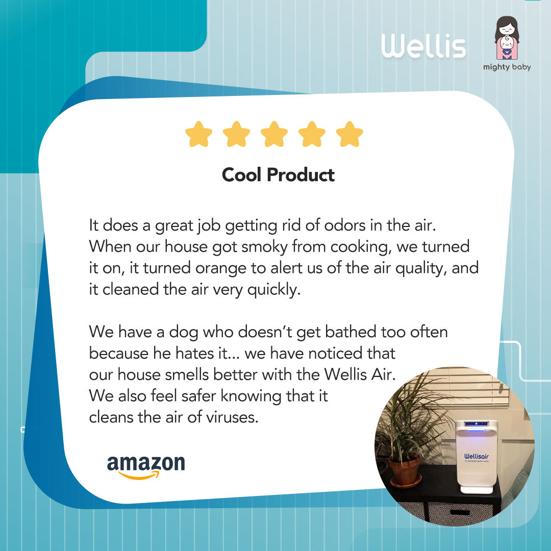 Wellis Air and Surface Disinfection Purifier
