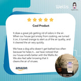 Wellis Air and Surface Disinfection Purifier