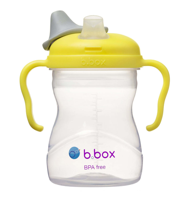 B.Box Spout Cup