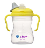 B.Box Spout Cup