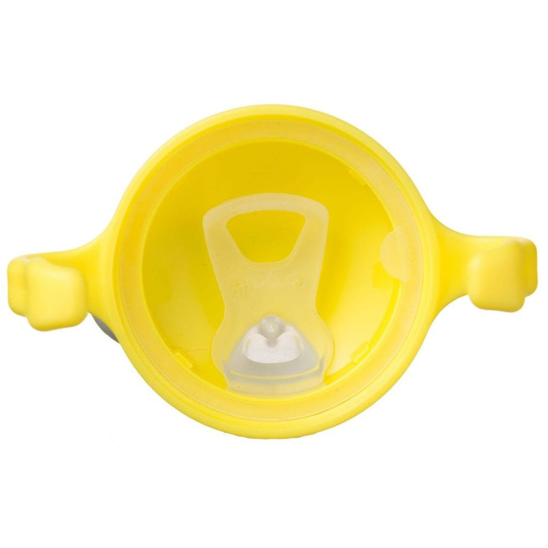 B.Box Spout Cup