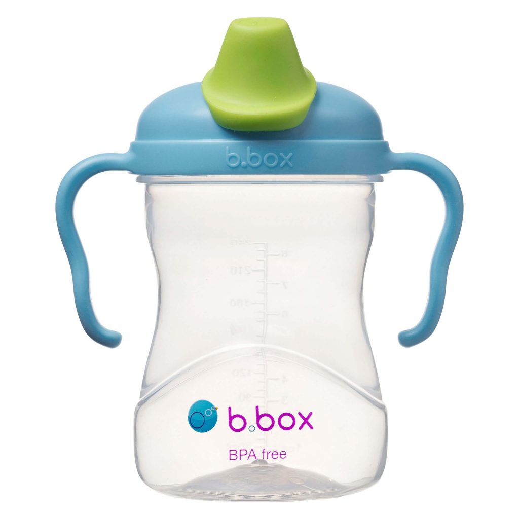 B.Box Spout Cup