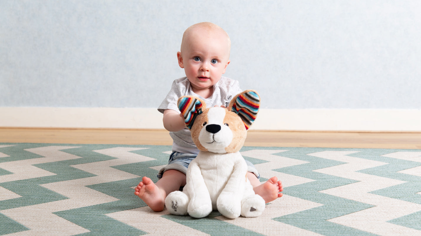 Zazu Peek-A-Boo Soft Toy - Danny the Dog