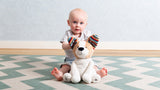 Zazu Peek-A-Boo Soft Toy - Danny the Dog