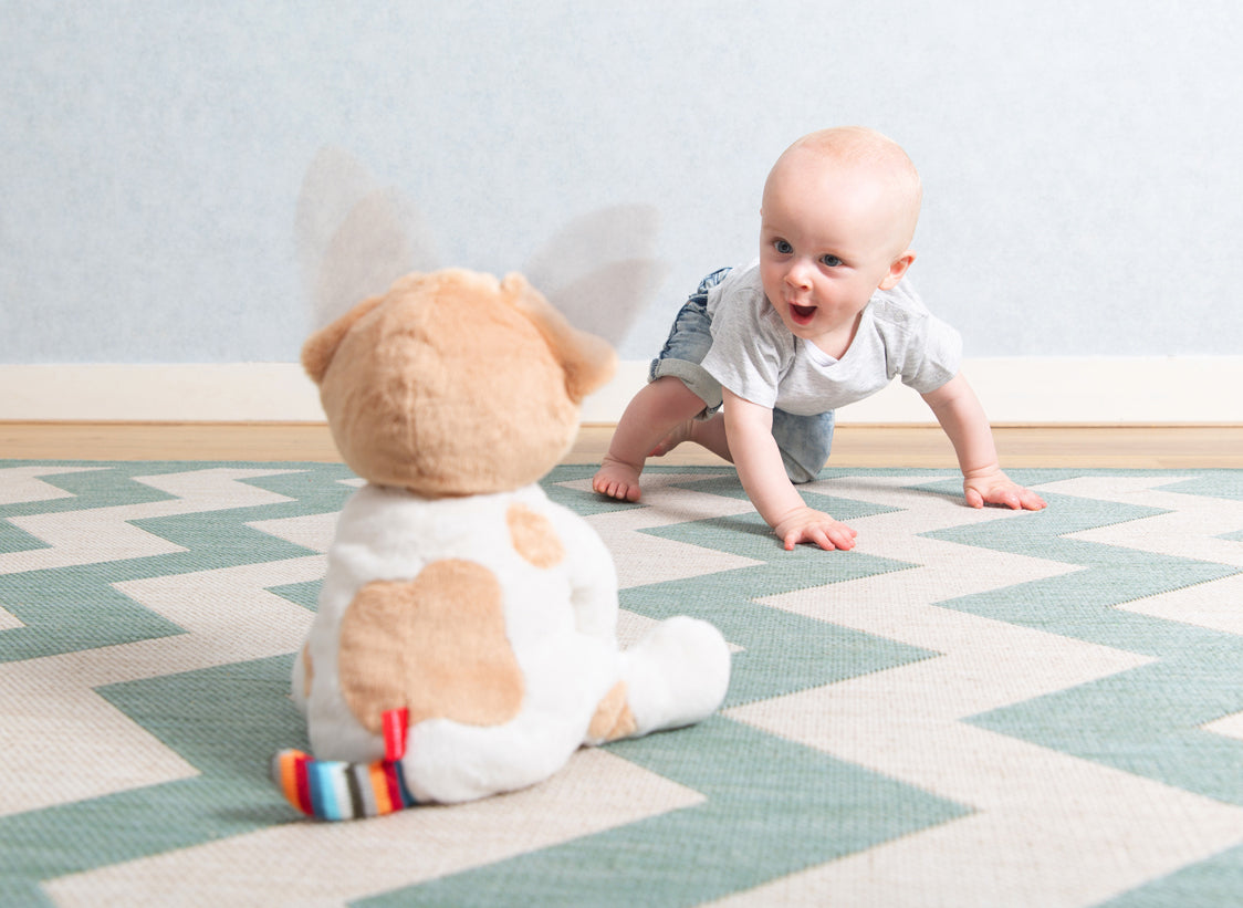 Zazu Peek-A-Boo Soft Toy - Danny the Dog