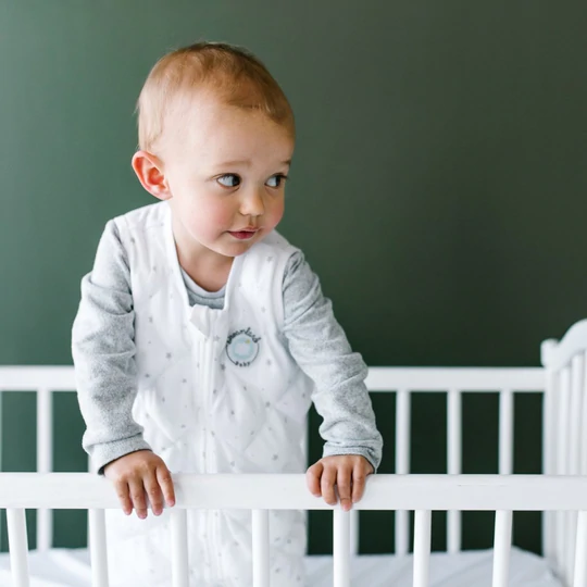 Dreamland Baby Weighted Sleep Sack (12-24 months)