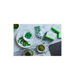 Mega-Malunggay Capsules (Moringa Oleifera + Sodium Ascorbate) - Mighty Baby PH