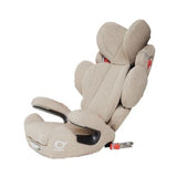 Poled Ball-Fix Pro Car Seat