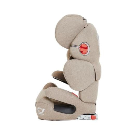 Poled Ball-Fix Pro Car Seat