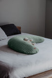 Beaba Big Flopsy Nursing & Maternity Pillow