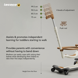 Lecoco V6 5-in-1 Multi-functional Kids Scooter