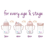 B.Box Transition Value Pack