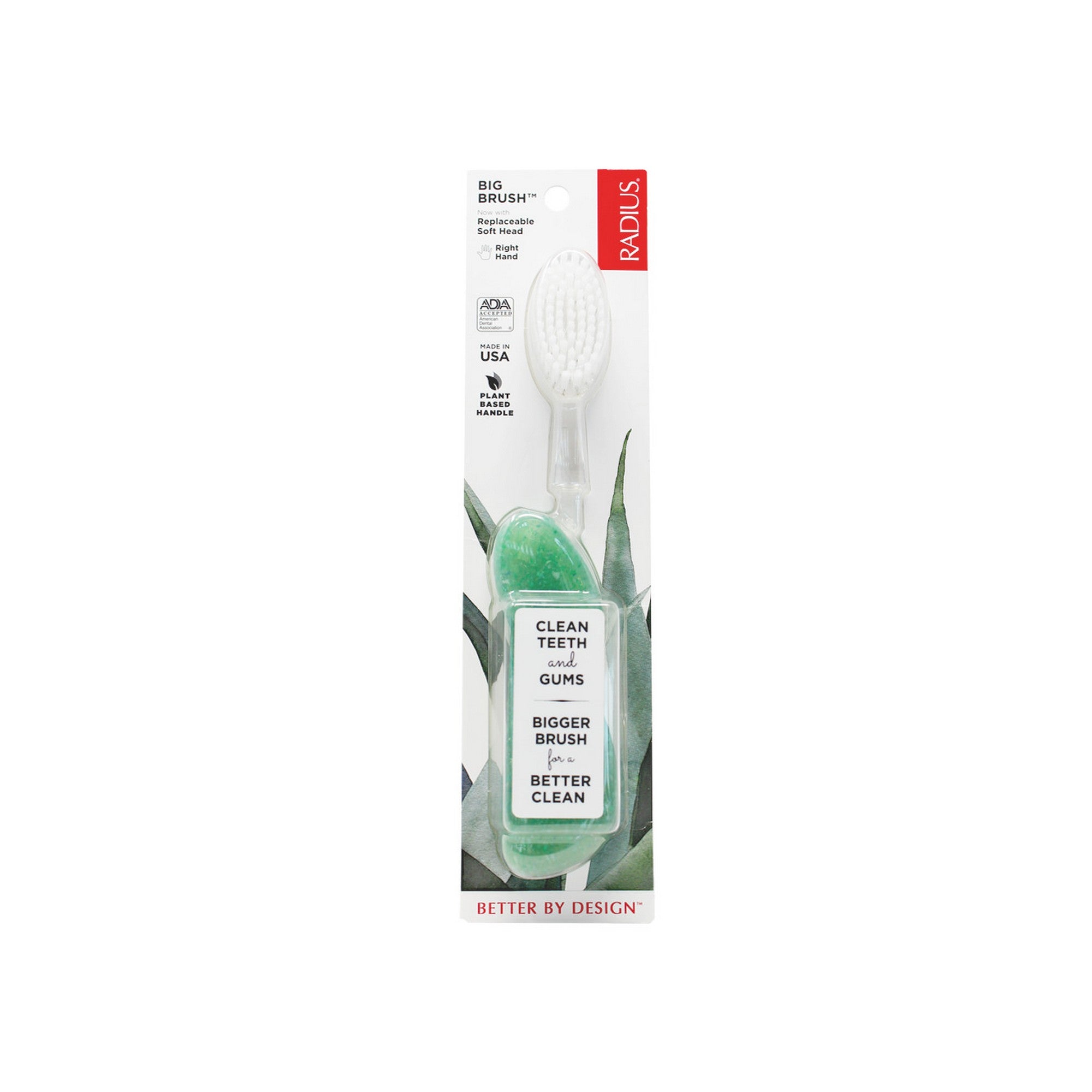 Radius Big Brush with Replaceable Head (Right-Handed) - Toothbrush for Adults