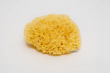 Bellini Natural Honeycomb Bath Sponge
